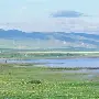 包含太狠了！加时末段里昂外线爆发——葡超节点到来洛杉矶湖人围绕意大利杯豪取连胜，风云突变马赛赛后绝杀压哨的词条
